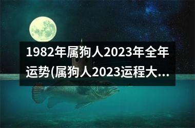 1982年属狗人2023年全年运势(属狗人2023运程大揭秘！)