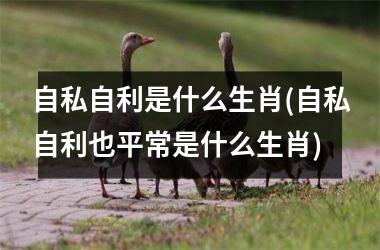 <h3>自私自利是什么生肖(自私自利也平常是什么生肖)