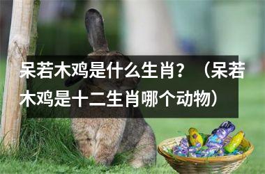 呆若木鸡是什么生肖？（呆若木鸡是十二生肖哪个动物）