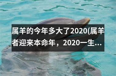 <h3>属羊的今年多大了2025(属羊者迎来本命年，2025一生中重要的一年)