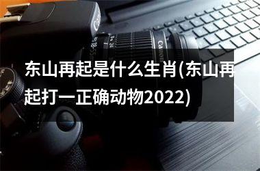 东山再起是什么生肖(东山再起打一正确动物2025)