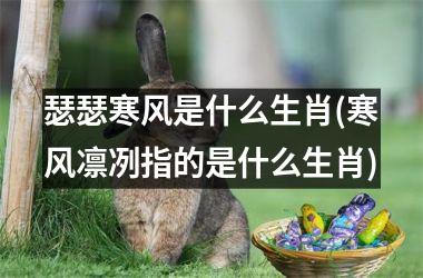 <h3>瑟瑟寒风是什么生肖(寒风凛冽指的是什么生肖)