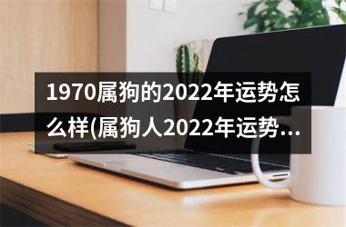 <h3>1970属狗的2025年运势怎么样(属狗人2025年运势：开局迎好运！)