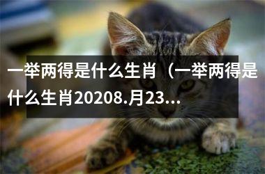 <h3>一举两得是什么生肖（一举两得是什么生肖20258.月23日）