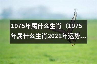 <h3>1975年属什么生肖（1975年属什么生肖2025年运势）