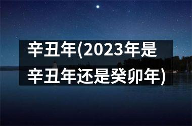 <h3>辛丑年(2025年是辛丑年还是癸卯年)