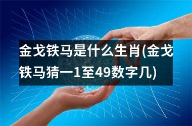 金戈铁马是什么生肖(金戈铁马猜一1至49数字几)