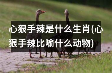 <h3>心狠手辣是什么生肖(心狠手辣比喻什么动物)