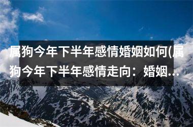 <h3>属狗今年下半年感情婚姻如何(属狗今年下半年感情走向：婚姻如何？)