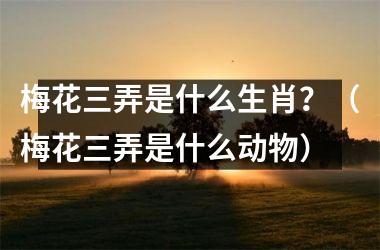 <h3>梅花三弄是什么生肖？（梅花三弄是什么动物）