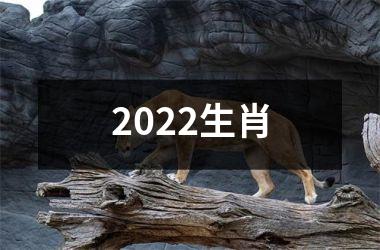 2022生肖