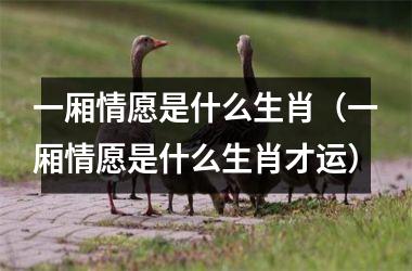 <h3>一厢情愿是什么生肖（一厢情愿是什么生肖才运）