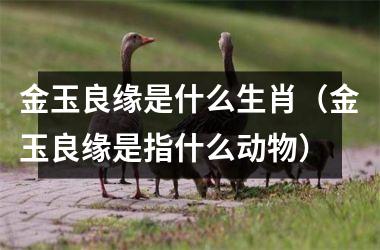 <h3>金玉良缘是什么生肖（金玉良缘是指什么动物）