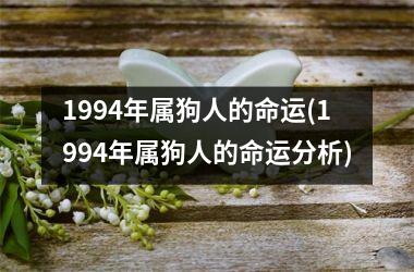 <h3>1994年属狗人的命运(1994年属狗人的命运分析)