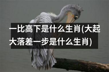 <h3>一比高下是什么生肖(大起大落差一步是什么生肖)