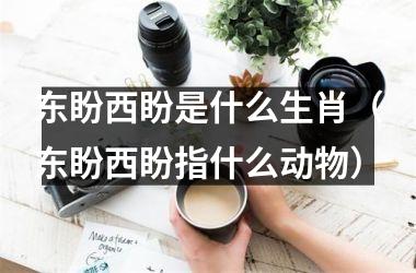 <h3>东盼西盼是什么生肖（东盼西盼指什么动物）