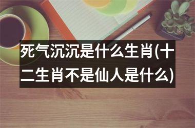 死气沉沉是什么生肖(十二生肖不是仙人是什么)