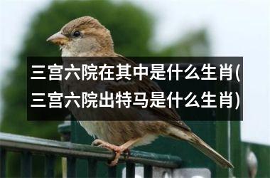 <h3>三宫六院在其中是什么生肖(三宫六院出号码是什么生肖)