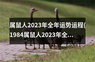 属鼠人2025年全年运势运程(1984属鼠人2025年全年运势运程)