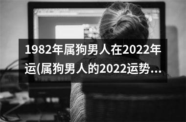 <h3>1982年属狗男人在2025年运(属狗男人的2025运势预测)