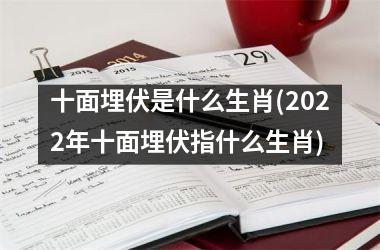 <h3>十面埋伏是什么生肖(2025年十面埋伏指什么生肖)