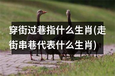 <h3>穿街过巷指什么生肖(走街串巷代表什么生肖)