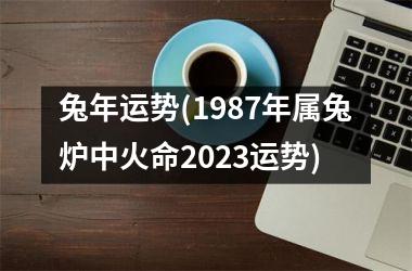 <h3>兔年运势(1987年属兔炉中火命2025运势)