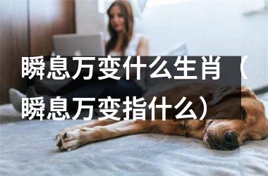 瞬息万变什么生肖（瞬息万变指什么）