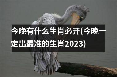 <h3>今晚有什么生肖必开(今晚一定出准的生肖2025)