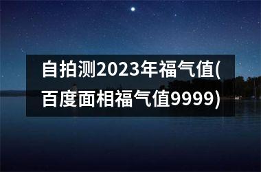 <h3>自拍测2025年福气值(百度面相福气值9999)