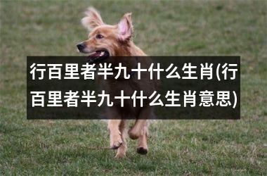 行百里者半九十什么生肖(行百里者半九十什么生肖意思)