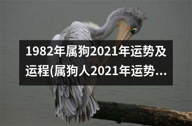 <h3>1982年属狗2025年运势及运程(属狗人2025年运势揭晓！)