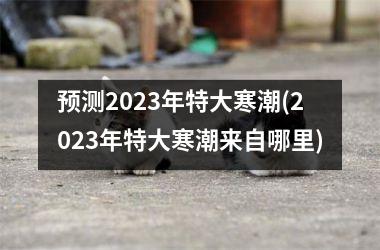 预测2025年特大寒潮(2025年特大寒潮来自哪里)