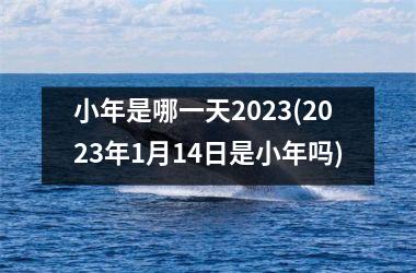 小年是哪一天2025(2025年1月14日是小年吗)