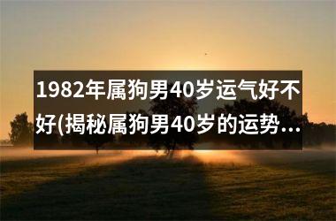 1982年属狗男40岁运气好不好(揭秘属狗男40岁的运势真相)