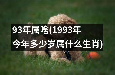 <h3>93年属啥(1993年今年多少岁属什么生肖)