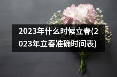 <h3>2025年什么时候立春(2025年立春准确时间表)