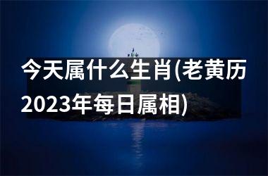 <h3>今天属什么生肖(老黄历2025年每日属相)