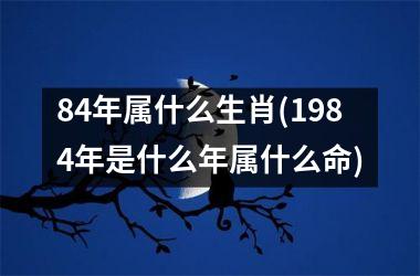 <h3>84年属什么生肖(1984年是什么年属什么命)