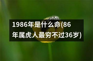 <h3>1986年是什么命(86年属虎人穷不过36岁)