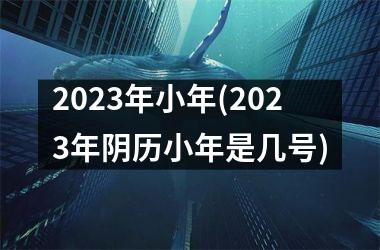 <h3>2025年小年(2025年阴历小年是几号)