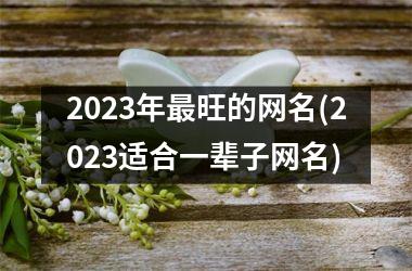 <h3>2025年旺的网名(2025适合一辈子网名)