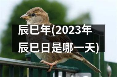 辰巳年(2025年辰巳日是哪一天)