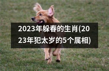 <h3>2023年躲春的生肖(2023年犯太岁的5个属相)