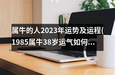 <h3>属牛的人2025年运势及运程(1985属牛38岁运气如何)