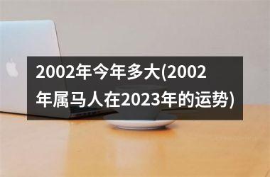 <h3>2002年今年多大(2002年属马人在2025年的运势)