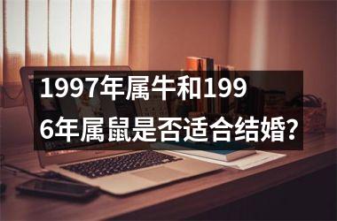 <h3>1997年属牛和1996年属鼠是否适合结婚？