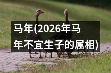 <h3>马年(2026年马年不宜生子的属相)