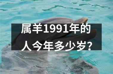 <h3>属羊1991年的人今年多少岁？