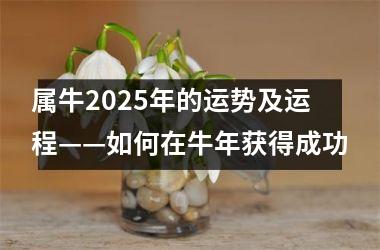 <h3>属牛2025年的运势及运程——如何在牛年获得成功